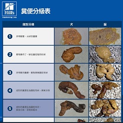 糞便分級表